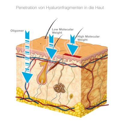 Dr Schrammek Hyaluron HY+ Performance Serum